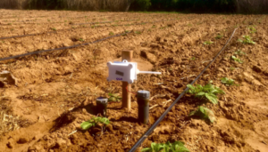 Pilowtech soil moisture sensor, Tunisia. © P.Vandôme