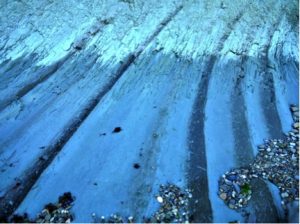 Miocene sapropels from the (paleo)Mediterranean. These are used to constrain cyclostratigraphic ages, and represent the backbone of the Miocene Mediterranean time scale. Different expression intensities can be seen, as well as bioturbation and gavels eroding shaping and smoothening the rock surface.