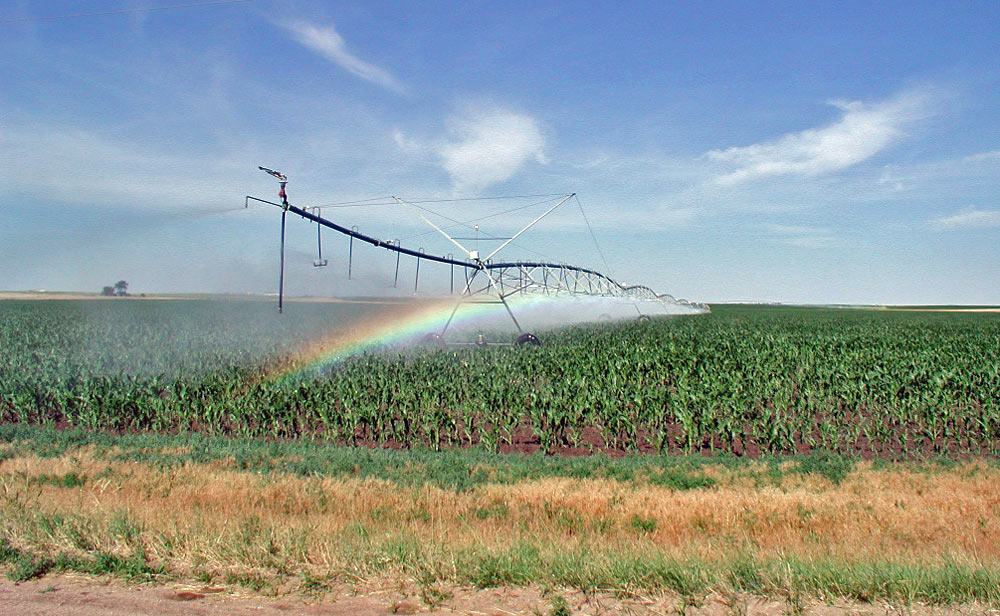irrigation-sprinkler-large