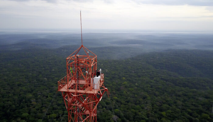 The Invisible Chemistry of Life: Jonathan Williams and the Language of the Air Around Us