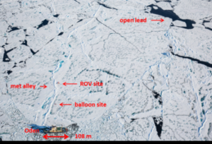 The perfect ice floe