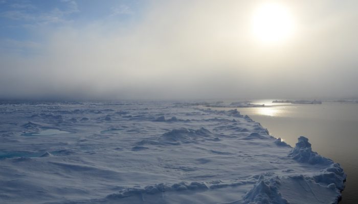 Water vapor isotopes: a never ending story!