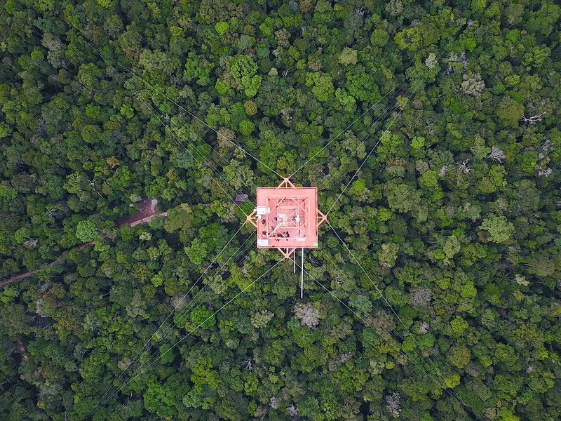 Atmospheric research in the middle of the Amazon forest: The Amazon Tall Tower Observatory celebrates its anniversary