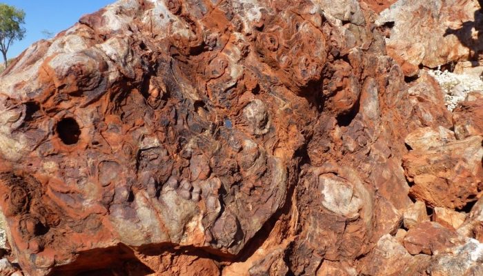 Dating mineral phases in geological remnants of early life