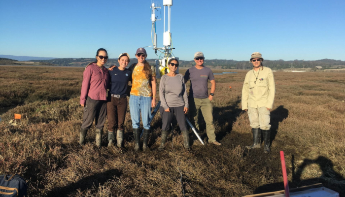 Dr Adina Paytan's research group in a field