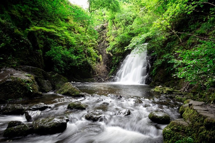 An image of a waterfall running in to a river among a leafy tropical forest