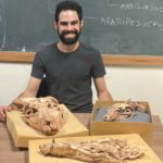 Pedro is a brown-eyed, dark-haired and bearded man, wearing a dark gray T-shirt. He is smiling and sitting in front of a blackboard, on which the names of two crocodylomorph species can be read. In front of him, on a wooden table, there are three skulls of fossil crocodylomorphs
