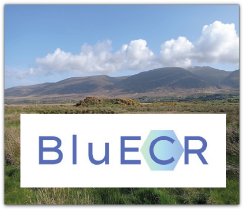 Unleashing Blue Carbon: Meet the New BluECR Network