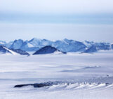 On ice: algal blooms and the Greenland Ice Sheet