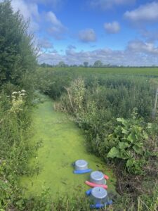 field measurements of greenhouse gas emissions using floating chambers on a agricultural drainage ditch.