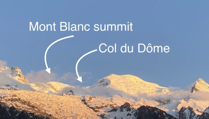 Microbial Adventures in the Mont Blanc Massif