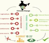Climate change mitigation and India’s road to net zero