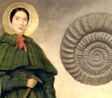 On the Mary Anning Conference Series