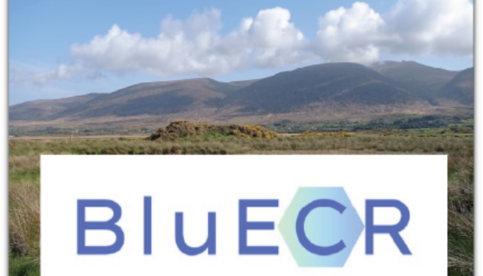 Unleashing Blue Carbon: Meet the New BluECR Network