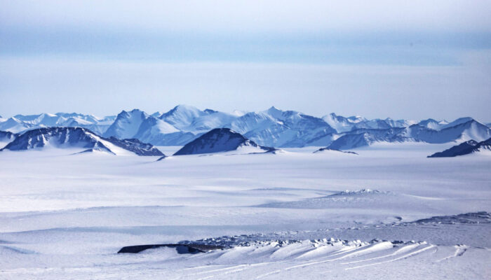 On ice: algal blooms and the Greenland Ice Sheet