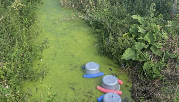 field measurements of greenhouse gas emissions using floating chambers on a agricultural drainage ditch.