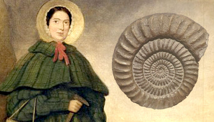 On the Mary Anning Conference Series