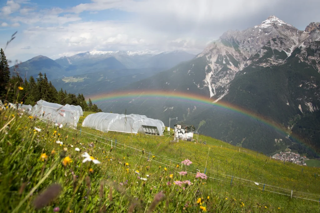 Welcome to the multi-faceted world of biogeosciences