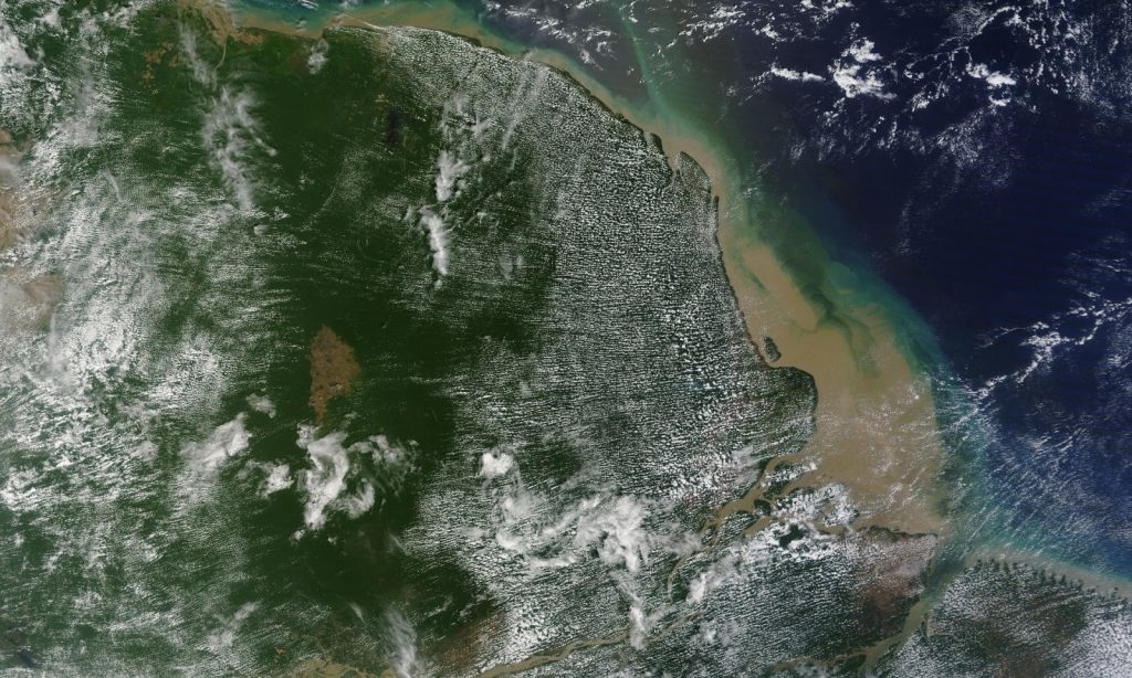 Coffee break biogeosciences – New coral reef at Amazon river mouth discovered