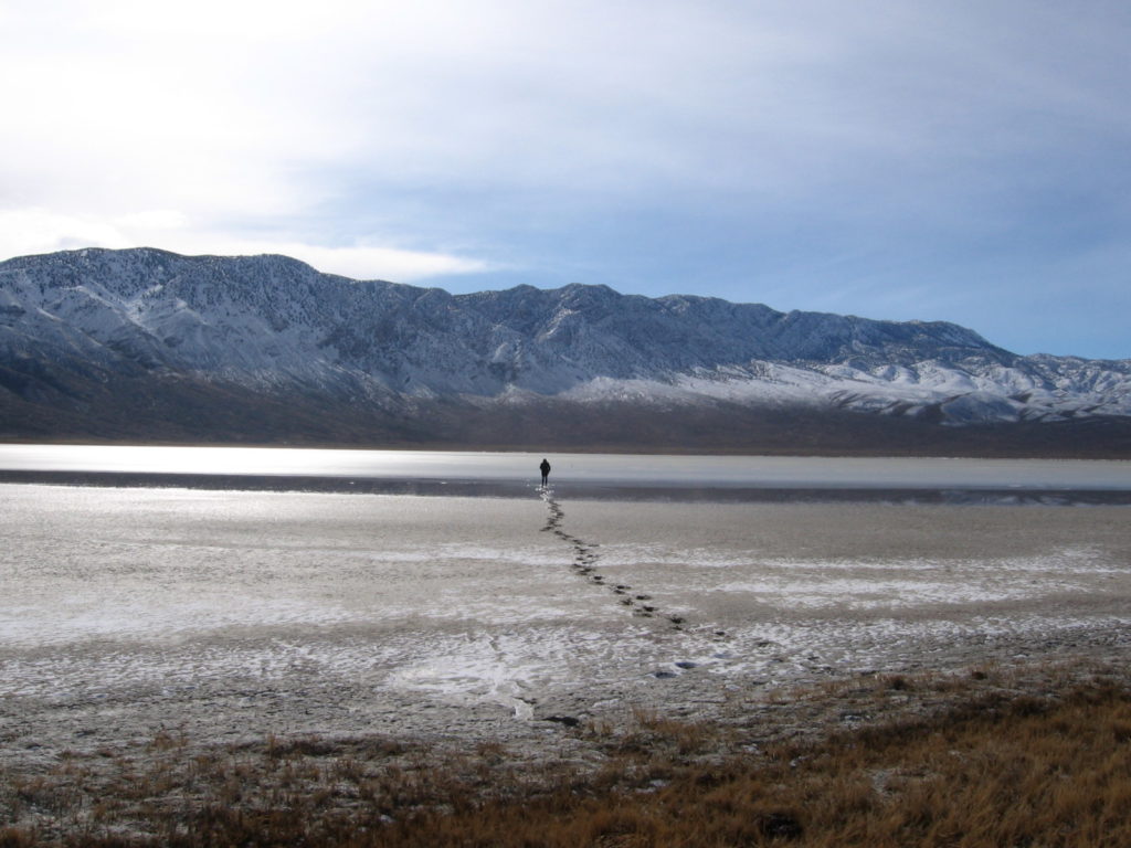 Welcome back to EGU’s Biogeosciences Division Blog!