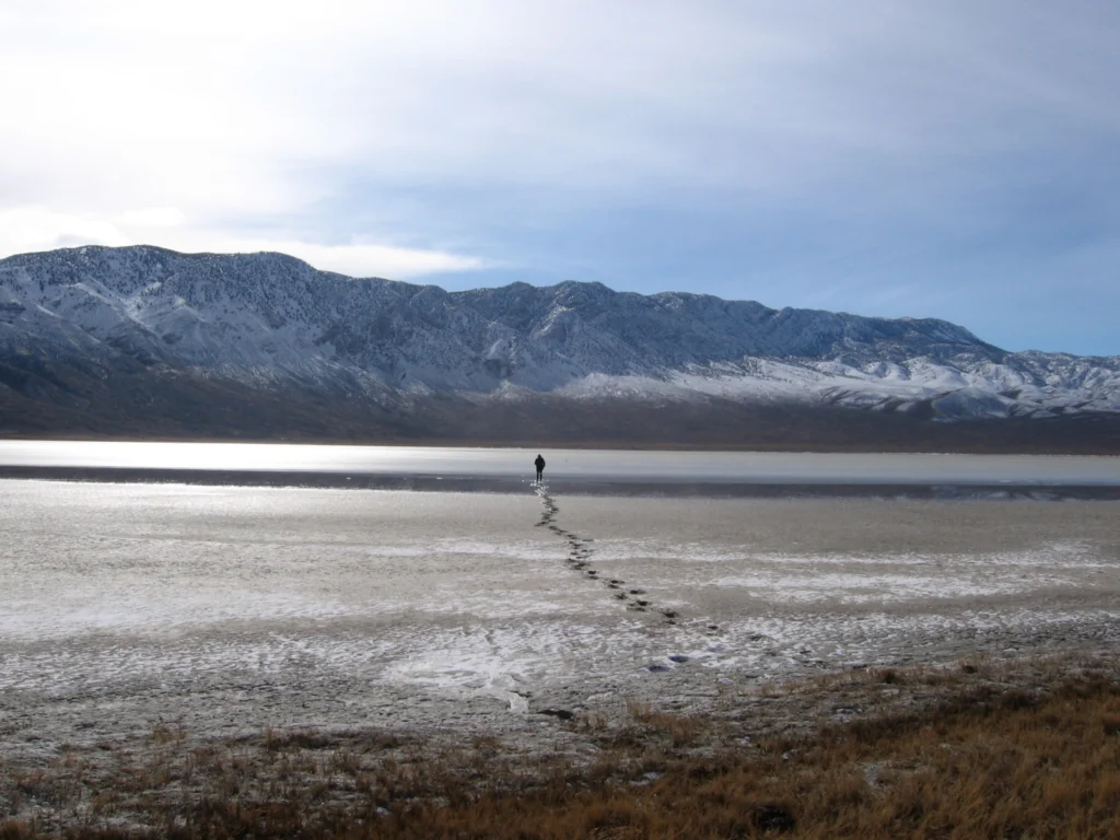 Welcome back to EGU’s Biogeosciences Division Blog!
