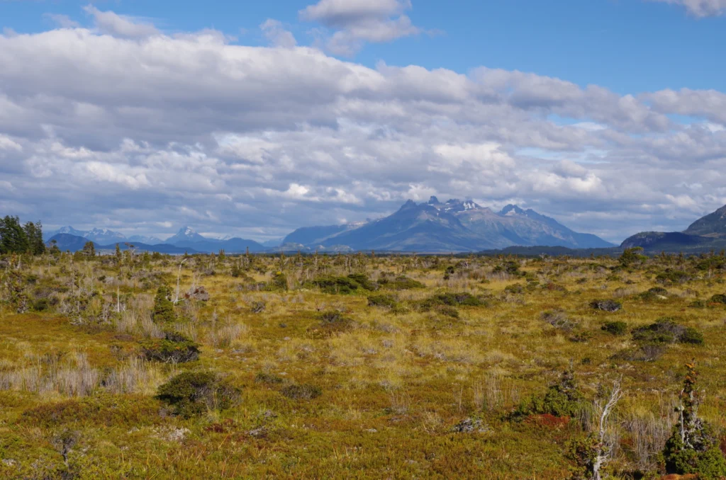 EGU2020 BG Sessions in the spotlight: Methane