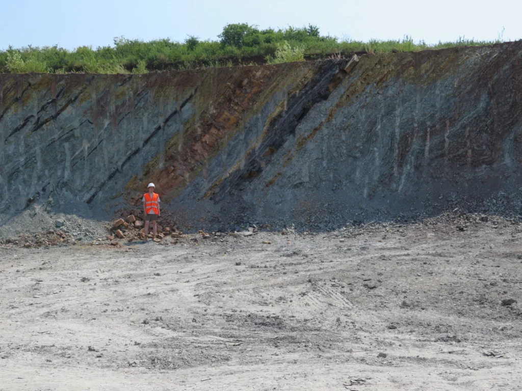Phosphorus-cycle perturbations and environmental disturbances 380–360 million years ago