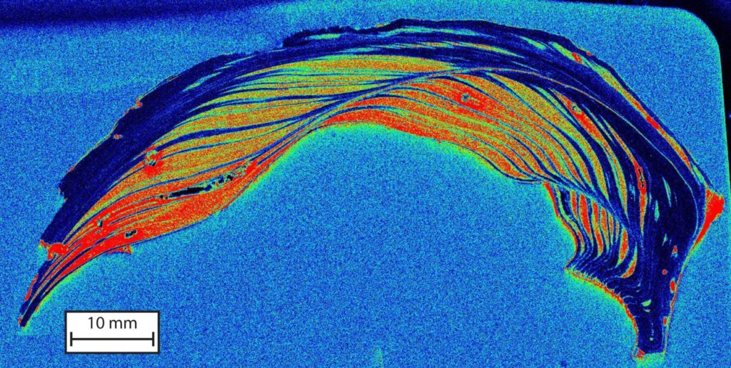 High-resolution biogeochemistry: Taking snapshots of past climate using mollusk shells