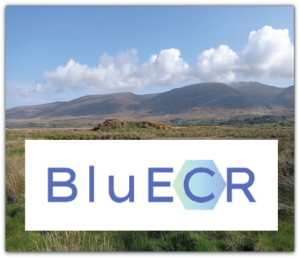 Unleashing Blue Carbon: Meet the New BluECR Network