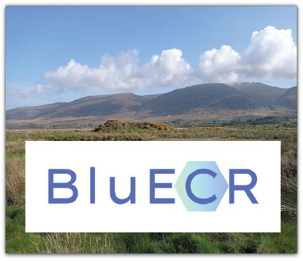 Unleashing Blue Carbon: Meet the New BluECR Network