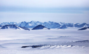 On ice: algal blooms and the Greenland Ice Sheet