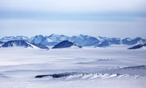 On ice: algal blooms and the Greenland Ice Sheet