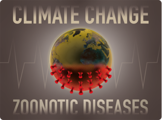 Are the risks of zoonotic diseases rising in the Anthropocene due to climate change?