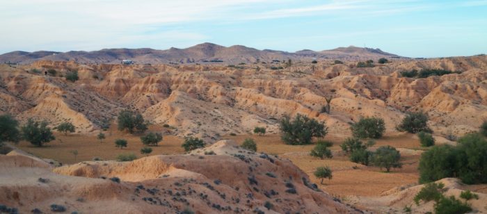 Desert loess: formation, distribution, geoscientific value