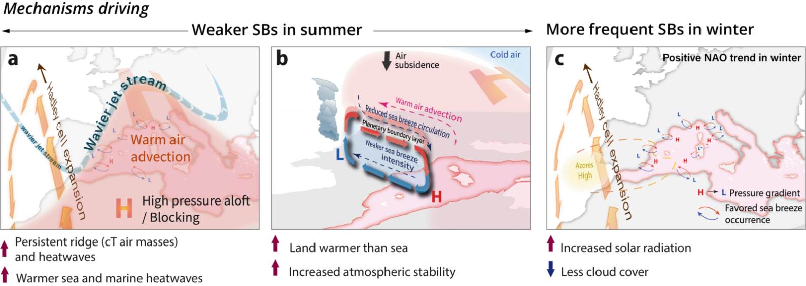 Weaker but more frequent: how sea breezes are changing in a warming climate