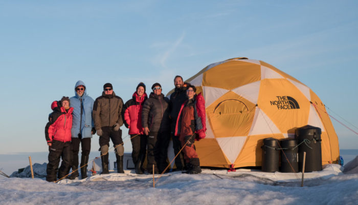 Deep Purple on Ice – Research on the Greenland Ice Sheet During the Pandemic