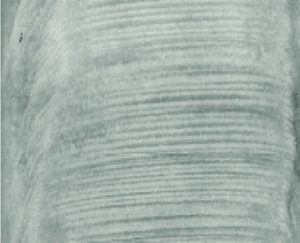 What speleothems can tell about the past climates !
