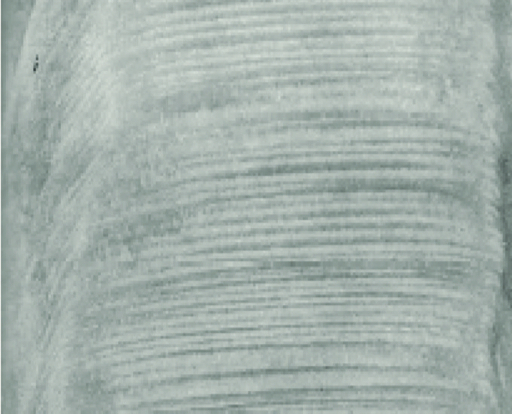 What speleothems can tell about the past climates !
