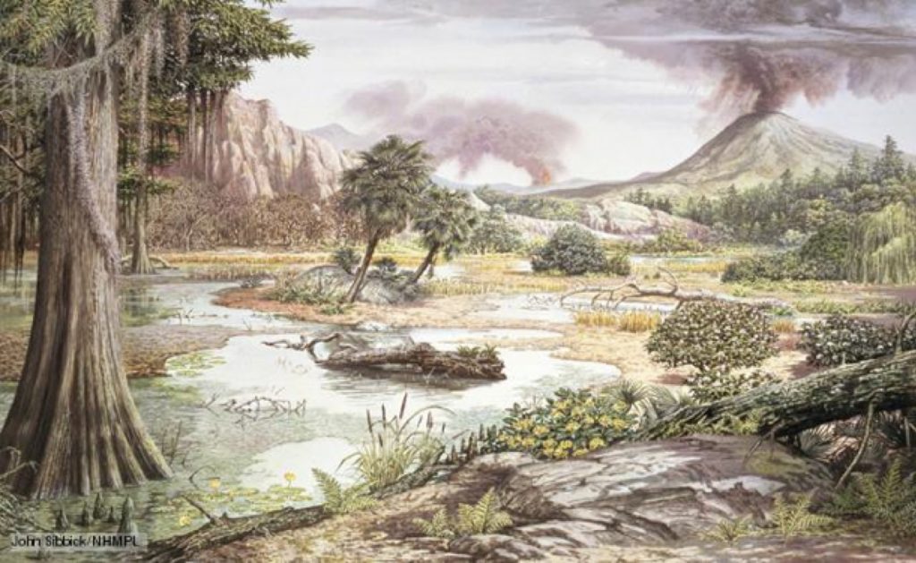 What can the Cretaceous tell us about our climate?