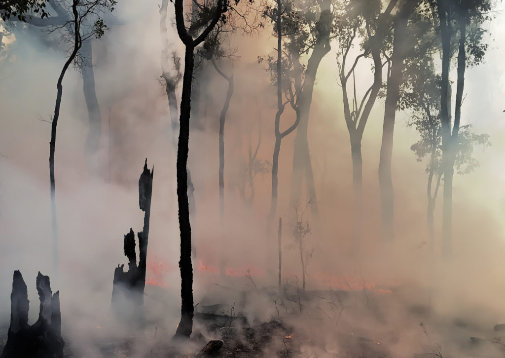 Dear “climate sceptic”, do you have a fire insurance? – Climate policy under uncertainty