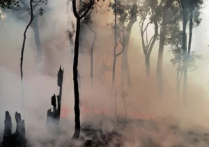 Dear “climate sceptic”, do you have a fire insurance? – Climate policy under uncertainty