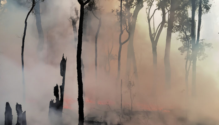 Dear “climate sceptic”, do you have a fire insurance? – Climate policy under uncertainty