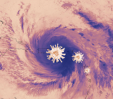 Hurricane COVID-19: What can COVID-19 tell us about tackling climate change?