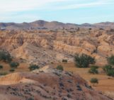 Desert loess: formation, distribution, geoscientific value