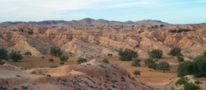 Desert loess: formation, distribution, geoscientific value