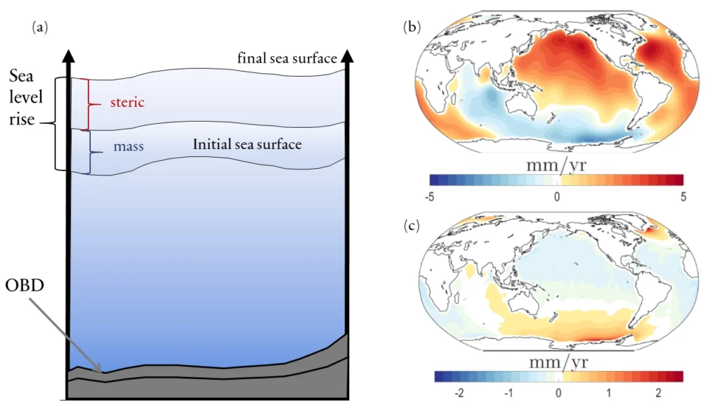 The ocean floor is sinking under the weight of sea level rise