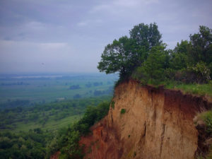 LOESS IN TRANSLATION