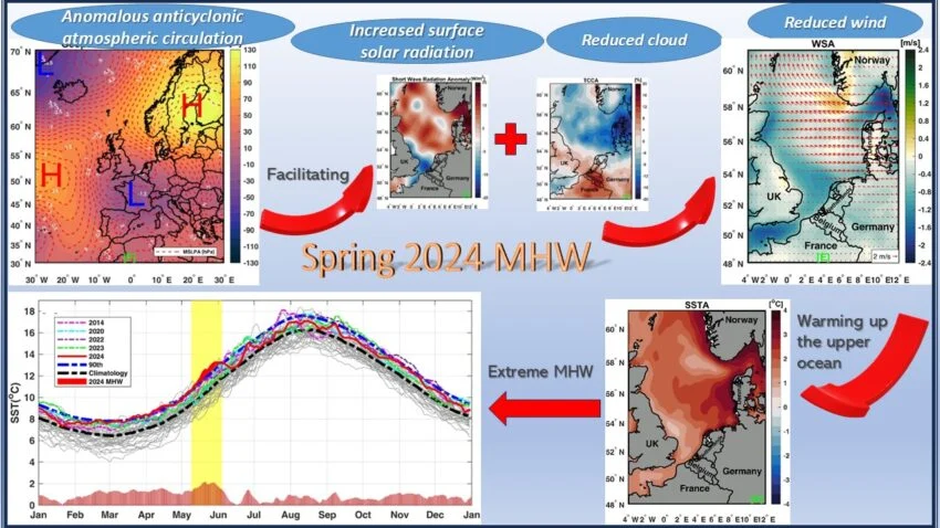 The North Sea Is Heating Up: What Marine Heatwaves Tell Us About Climate Change?