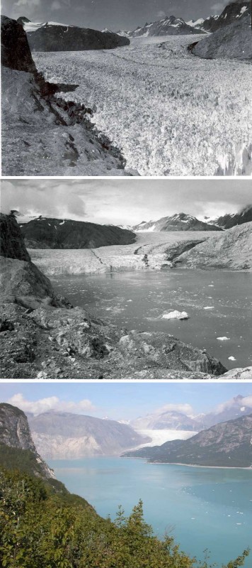 Image of the Week : 63 years of the Muir Glacier’s retreat
