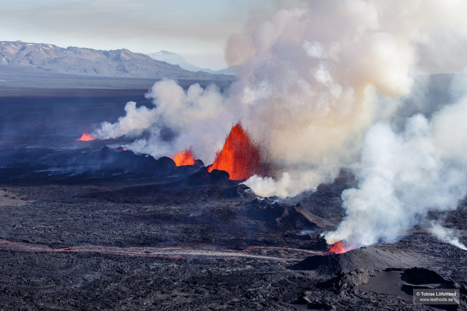 The fountains of lava accompanied by clouds of steam and sulphur-dioxide. The magma flowed 46 km underground from Bárðarbunga volcano to the eventual eruption site at Holuhraun, where it erupted continuously for 6 months. Photo Credit: Tobias Löfstrand